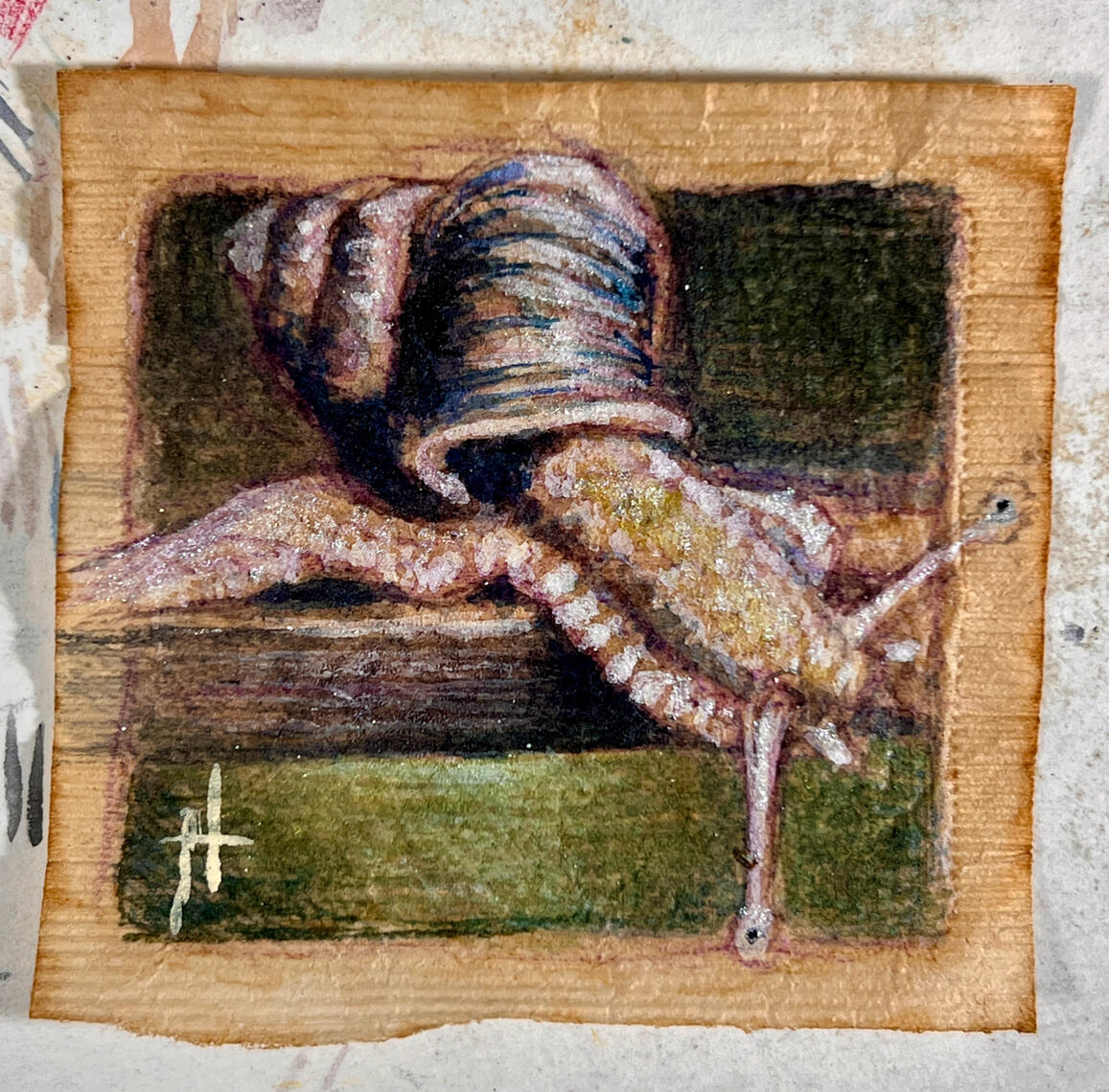 #15: Snail Mail