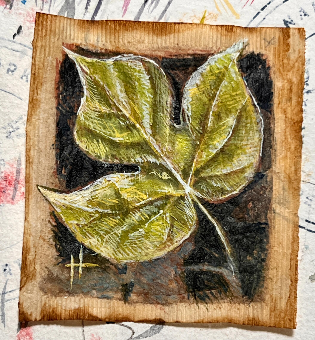 #27: Ivy-like